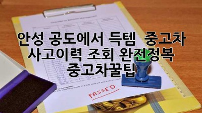 안성 공도에서 득템?! 😉 중고차 사고이력 조회 완전정복! #중고차꿀팁