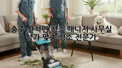 충주 산척면 청소 매니저🧹✨: 사무실, 상가 맞춤 청소 전문가